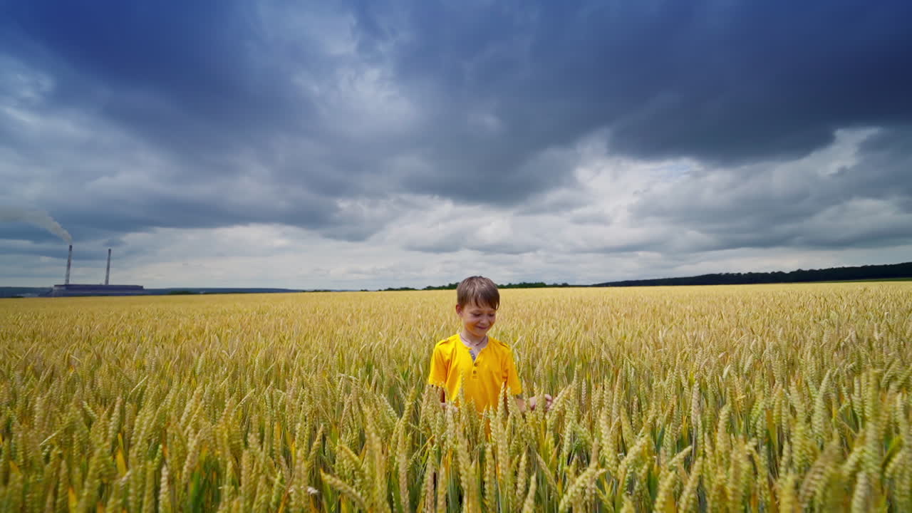 Cheerful boy in yellow field. Happy child hiding in wheat field against cloudy sky in summer. Kid playing outdoors in agricultural land.