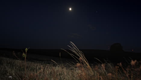 一片孤立的田野,夜晚的景色,被月亮照亮