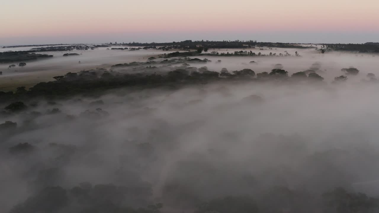 안개가 많이 낀 짐바브웨의 신비로운 아침 사바나를 보여주는 공중이 뒤로 날아가고 있습니다