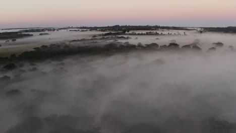 aerial is flying backwards showing the mystical morning savannah of zimbabwe with a lot of fog