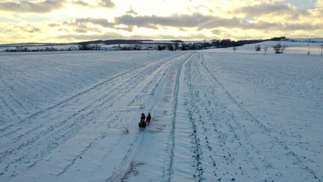 aerial drone shot of a local on a sleigh pulled by horses carrying basic aminities across the snow covered plains in the countryside at sunset