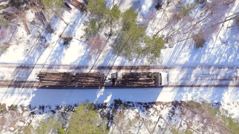 truck transports felled tree logs on snowy rural track