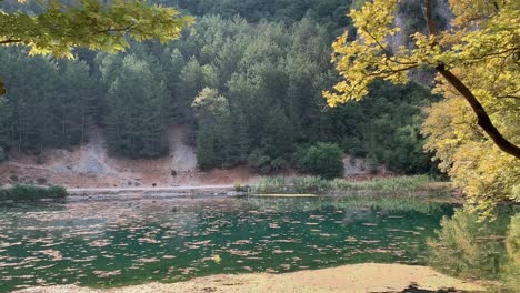 Idyllic-view-of-a-lake-with-pine-trees-during-the-summer-in-Greece