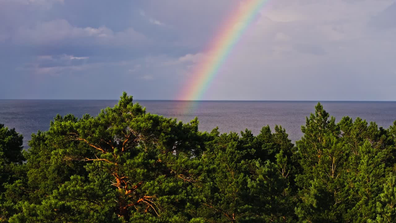 Medium tele aerial of Latvia pine trees by sea with rainbow at golden sunset