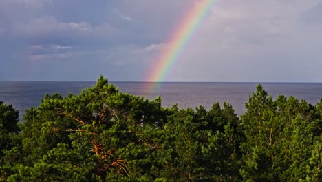 medium tele aerial of latvia pine trees by sea with rainbow at golden sunset