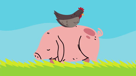 farm lifestyle animation with pig and hen