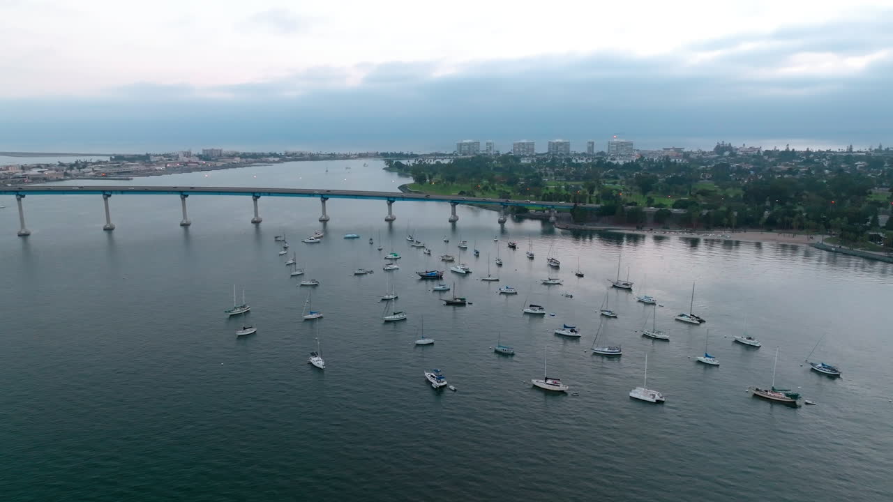 Many white sail boats standing still in San Diego Bay near the Coronado Bridge