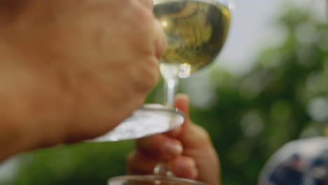 Cheers in a Vineyard