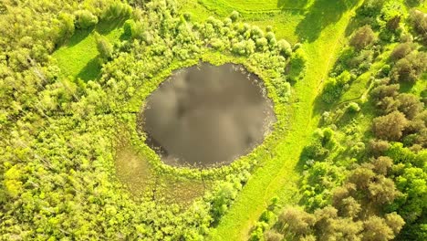 aerial flight from top bottom over an small lake with perfectly round shape.