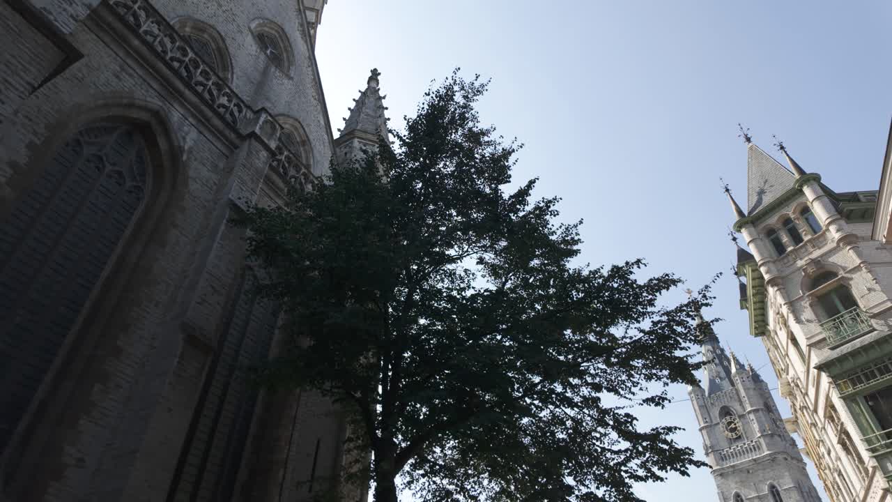 겐트의 성 바보 대성당과 종탑은 울창한 나무 가지 위에 웅장하게 아 있으며, 겐트의 역사적인 스카이라인을 매혹적으로 볼 수 있습니다.