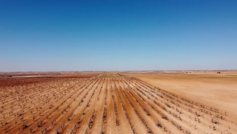 vista aérea de viñedos y tierras secas de cereales