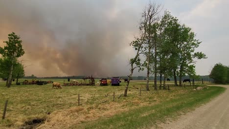 Ackerland-Und-Landwirtschaftliche-Flächen-Verbrannt-Und-Von-Smog-Bedeckt