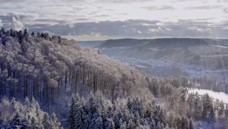 Luftflug-über-Schneebedeckte-Bäume,-Während-Die-Sonne-An-Einem-Schönen-Wintertag-Scheint