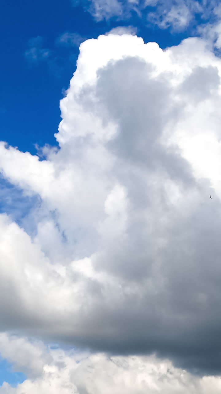 Flying along fluffy soft cotton clouds on beautiful sunny summer day. Heavenly cumulus white clouds movement timelapse. Vertical video