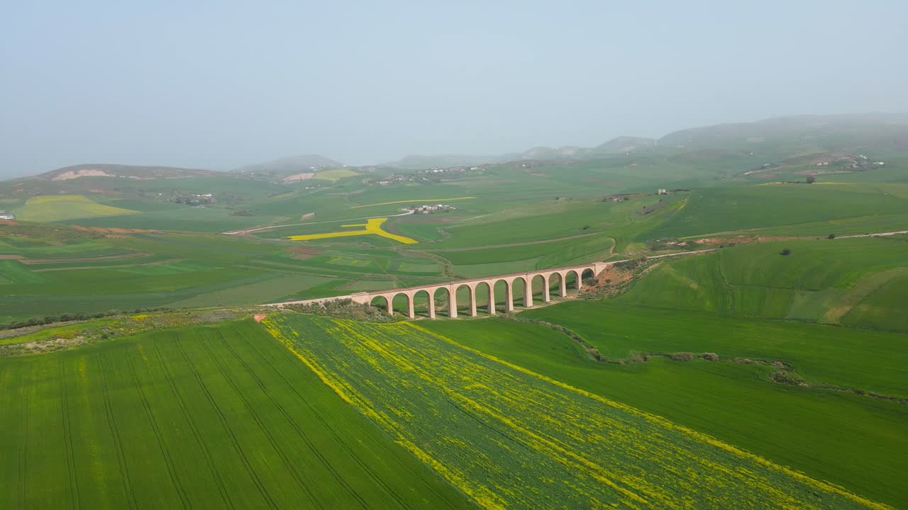 Aerial View of a Stone Arch Bridge in a Lush Green Landscape