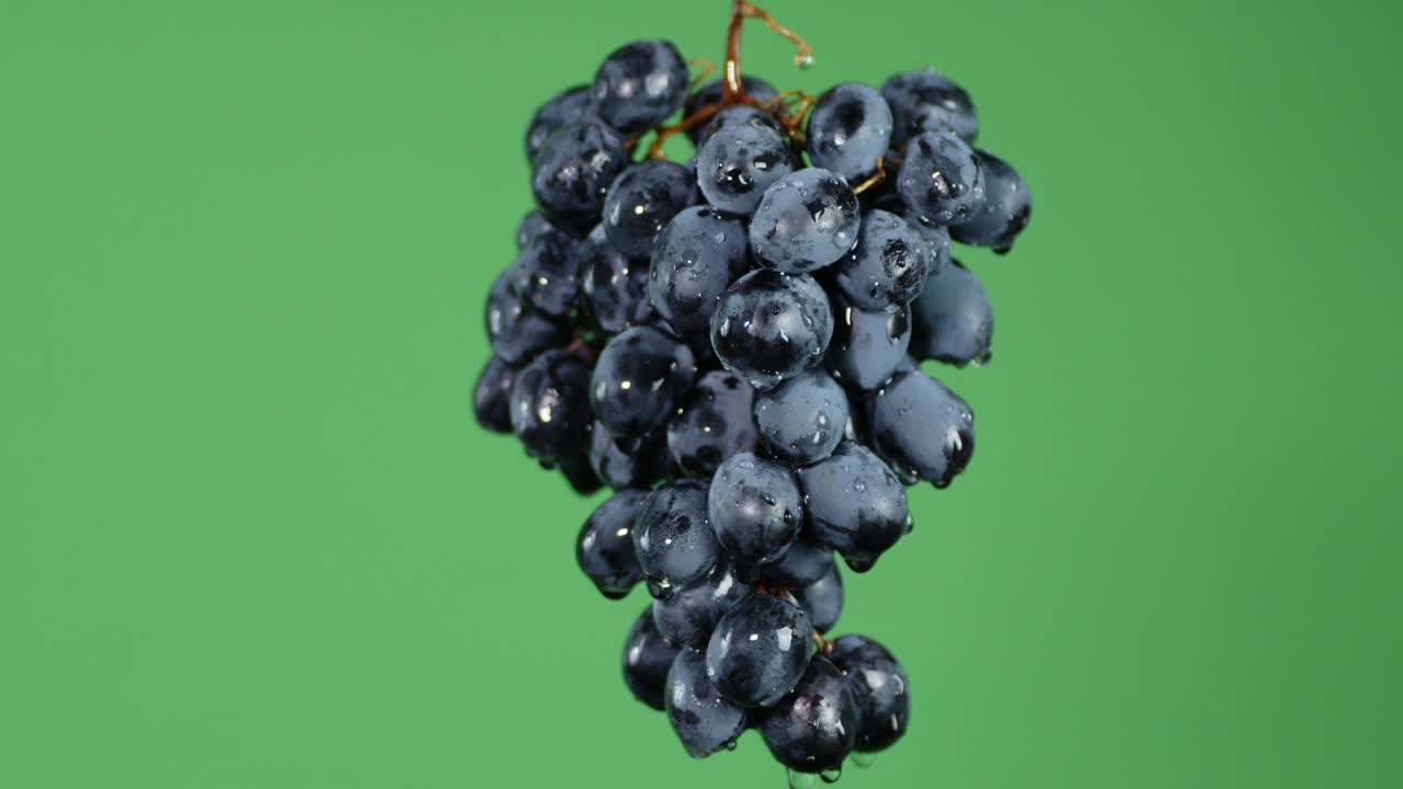 de la rama de las uvas jugosas goteando agua.