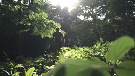 A man is captured from behind, walking through the lush, sun-dappled foliage of a dense jungle of Costa Rica