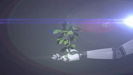 animación de una planta en crecimiento en la mano del brazo del robot, con luz azul sobre fondo oscuro