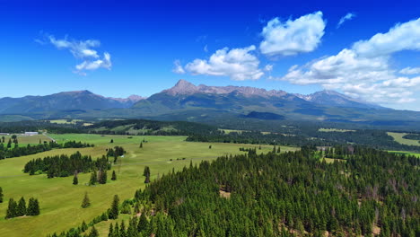 Pine tree woods covering the valley at the foot of the Tatras in Slovakia. Drone footage over the wilderness on sunny day
