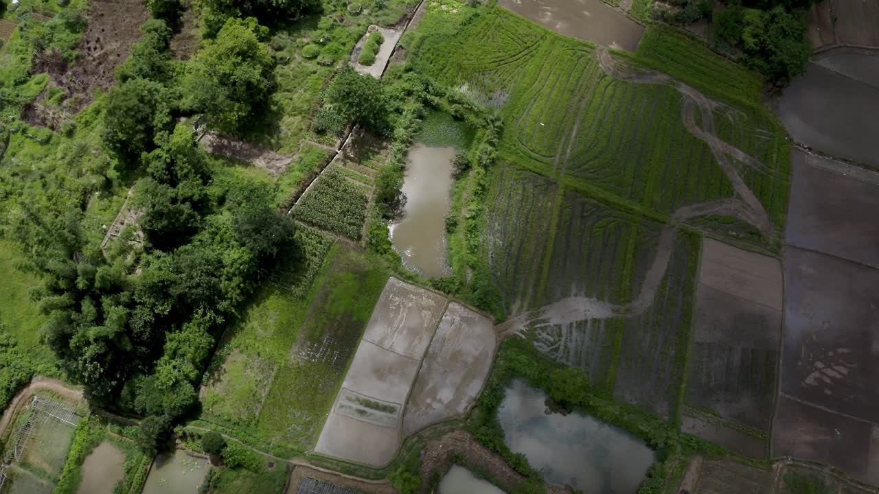 antena: tierras de cultivo chinas, cultivos agrícolas remotos en el campo, sombra de nubes