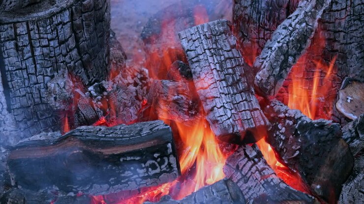 Bara Api Membakar Kayu Bakar.