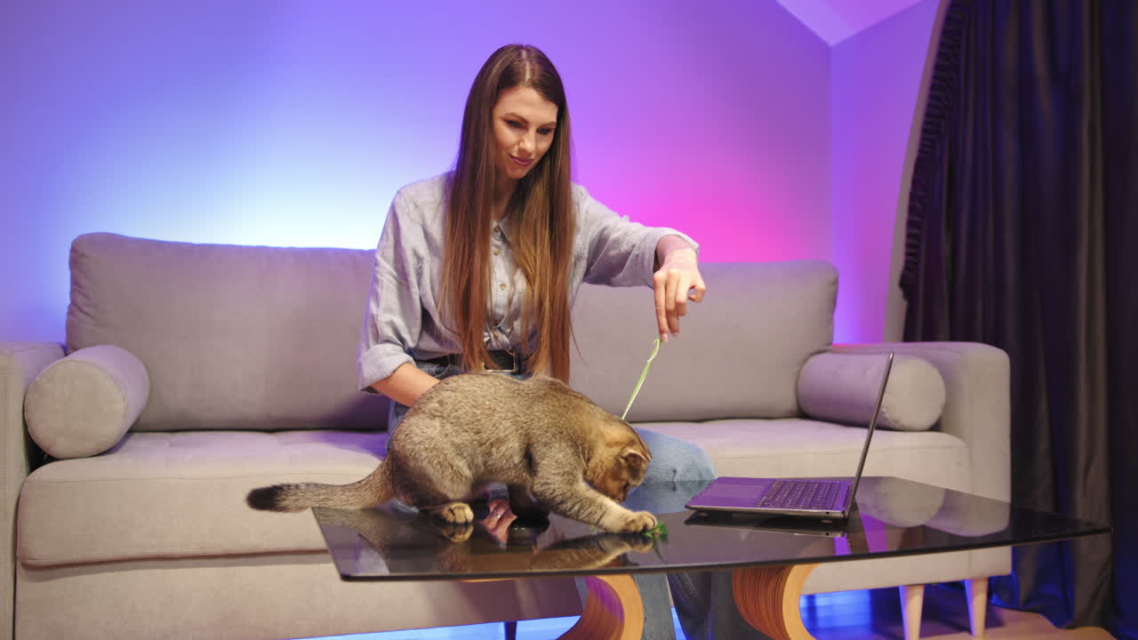 Donna che gioca con il suo gatto sul divano