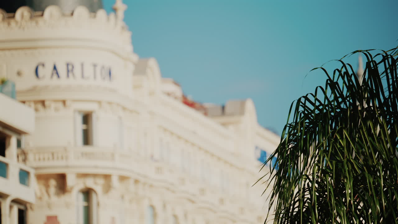 Cannes, France - October 3, 2025: Blurred view of the Carlton Hotel facade with palm trees in the foreground under a clear blue sky