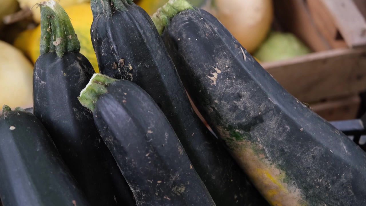 Una vivace esposizione di zucche assortite, zucchine e verdure fresche, che mostra una ricca varietà di forme, colori e texture che celebrano l'abbondanza stagionale.