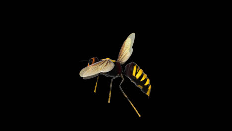 3d model of a flying wasp