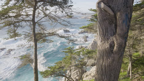 Stationärer-Schuss-Des-Pazifischen-Ozeans-Von-Einer-Hügelseite-Am-Strand-Von-Big-Sur-California-Durch-Bäume