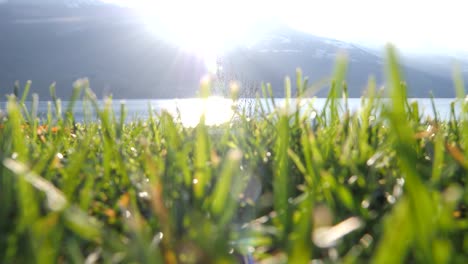 low angle view of male hiker walking right across grass field by lake in walenstadt, switzerland