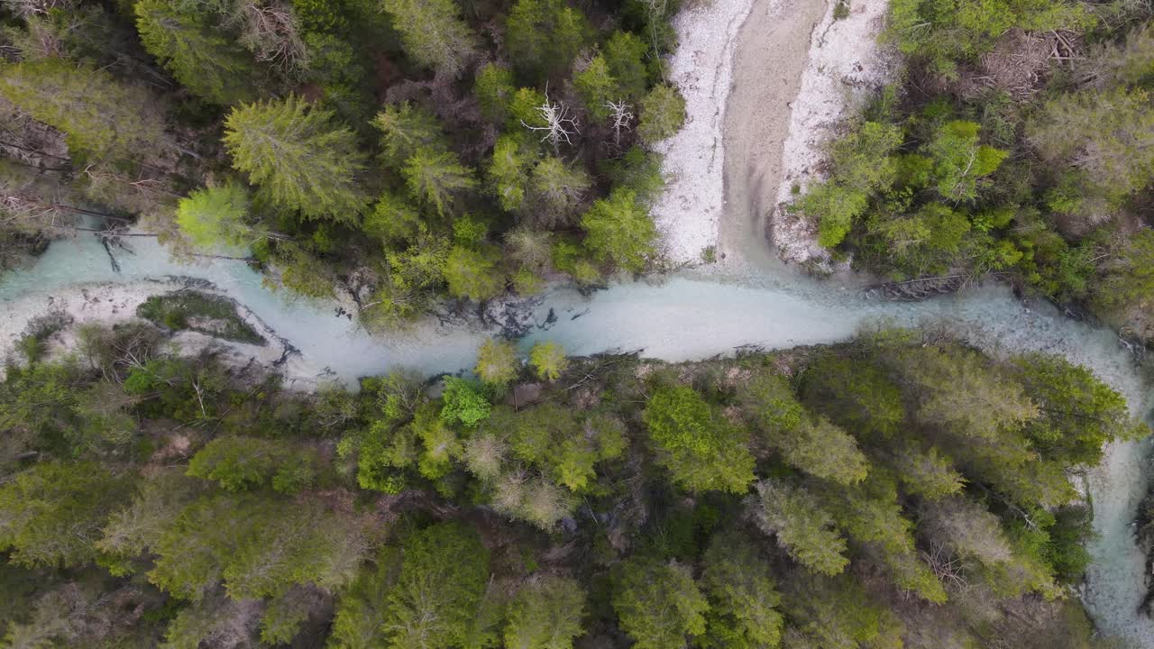 Un ruscello che scorre attraverso una pineta e sfocia nel Lago di Dobbiaco trasporta acqua glaciale incontaminata dalle Dolomiti.