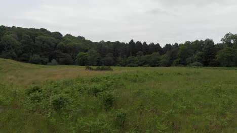 drone shot over green field and forest