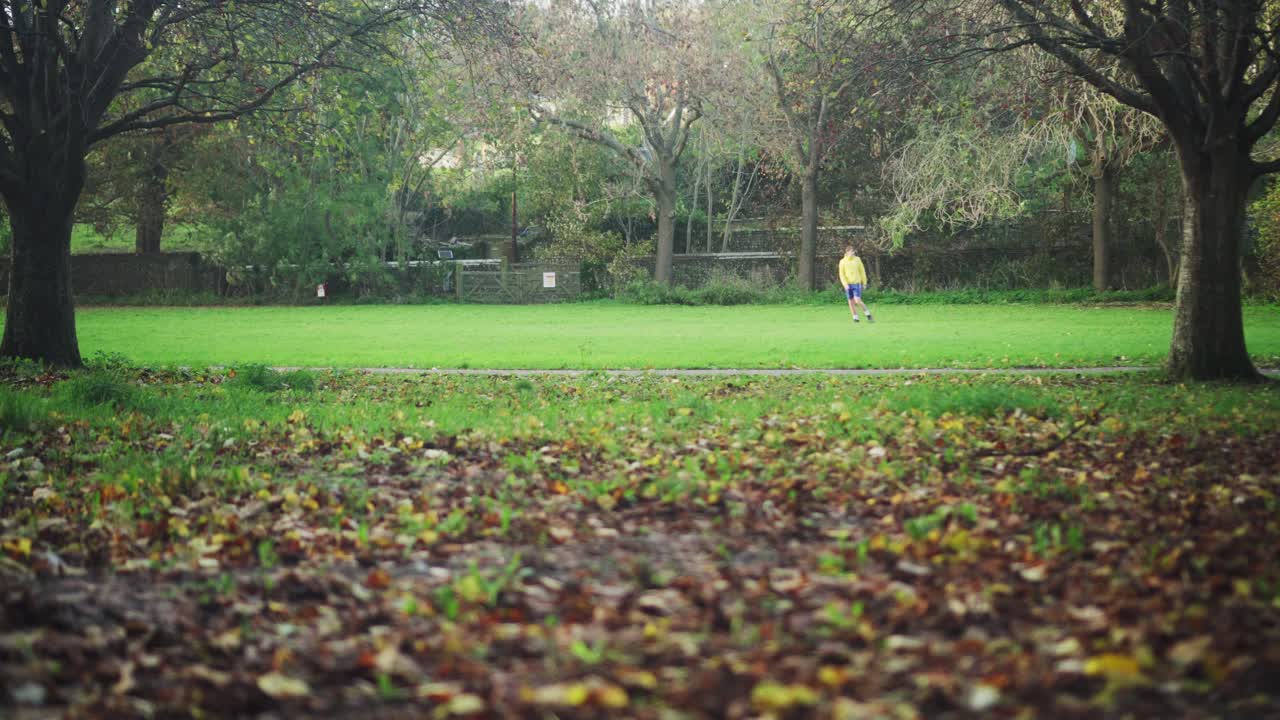 Blonde Dog Chases Owner in Park in Autumn