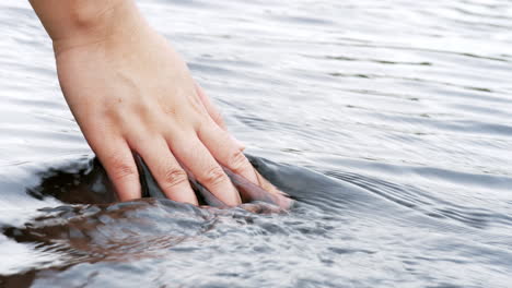 mano tocando el agua en el río o lago del bosque