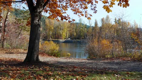 Cabaña-En-La-Orilla-Del-Lago-En-Washington,-Estados-Unidos