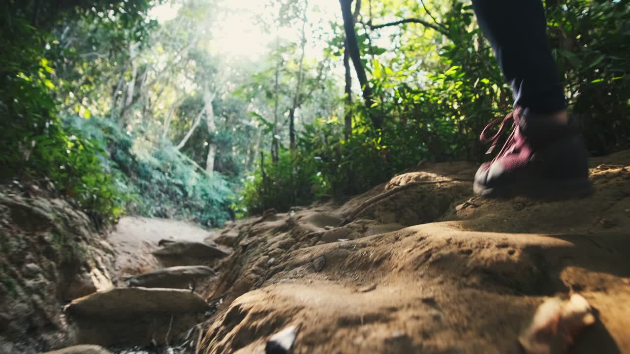 하이커는 열대 우림의 길을 고 있다. 젊은 여성 하이커가 숲을 는다.
