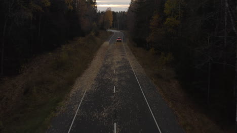 the car drives along the forest road and slows down in the middle of the track