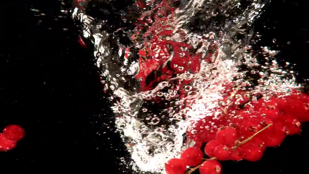 Fresh Red Currants Splashing into Water in Slow Motion