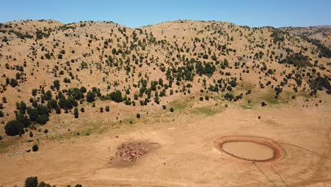 mount hermon aerial view