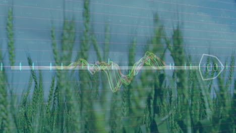 wheat field displaying animated neon waveform chart overlay with candlestick markers and grid lines