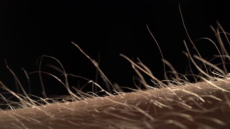 close-up view of human body hair