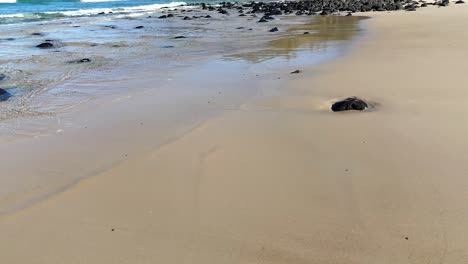 ocean waves interacting with rocky shoreline