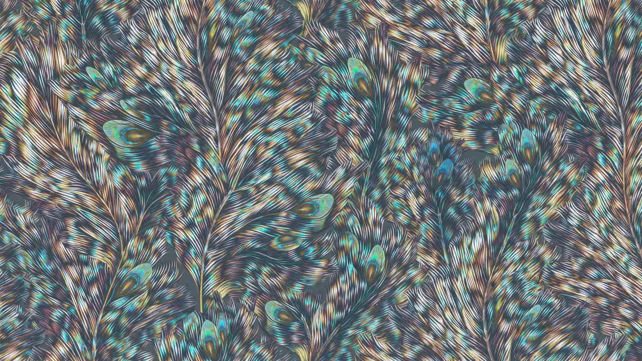 Abstract feather pattern with swirling colors, resembling peacock feathers