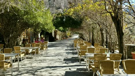 Romantic-Outdoor-Cafe-with-a-Lot-of-Greenery-Tilit-Shot