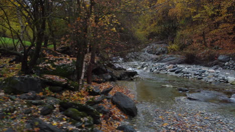 Mountain-river-water-flow-with-red-and-yellow-trees-autumn-foliage-aerial-view