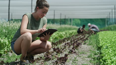 una joven agricultora que usa una tableta digital