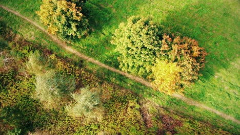 aerial top view over straight road with in colorful countryside autumn forest