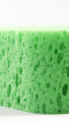 Close-up of cleaning sponge