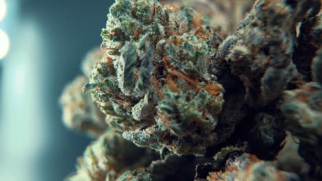A-macro-cinematic-detailed-shot-of-a-cannabis-plant,-hybrid-orange-strains,-Indica-,marijuana-flower,-on-a-360-rotating-stand,-Full-HD,-super-slow-motion,-120-fps,-studio-lighting